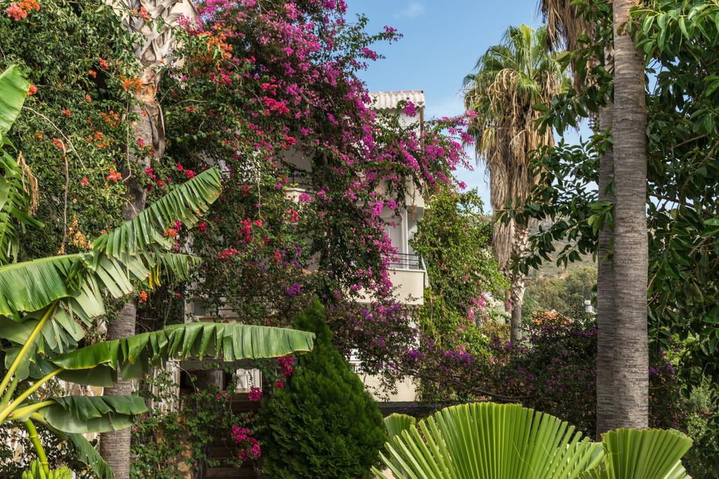 Pataros Hotel Patara