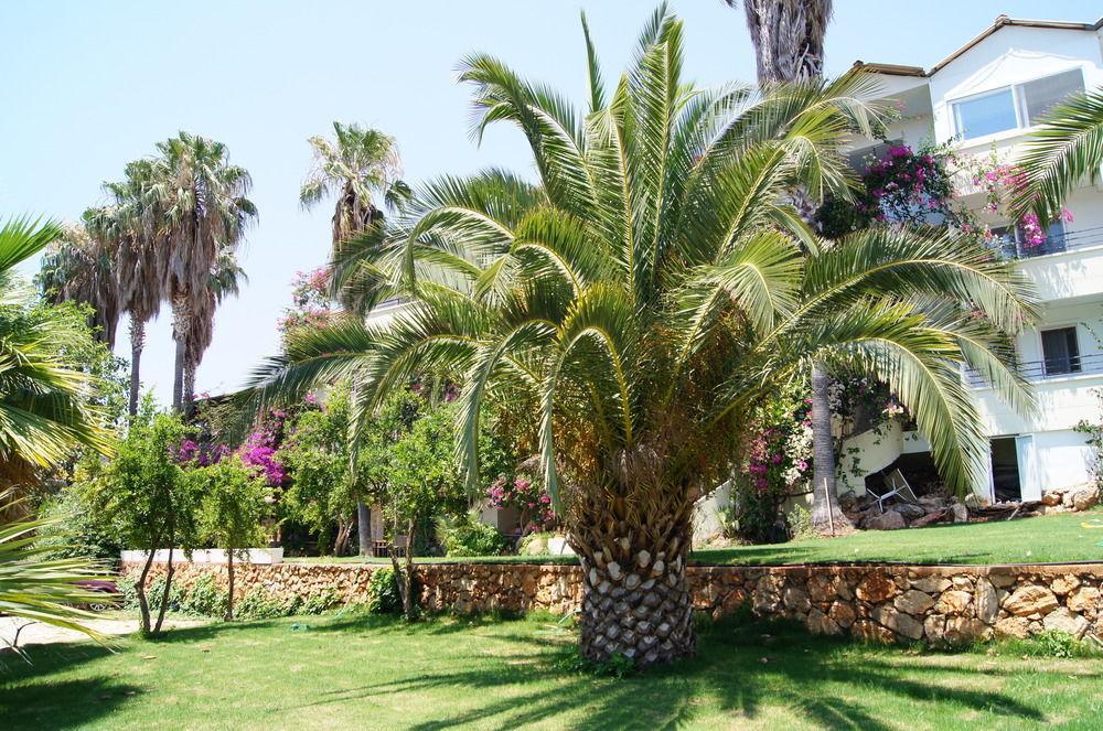 Pataros Hotel 2*