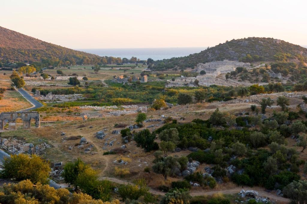 Pataros 2*